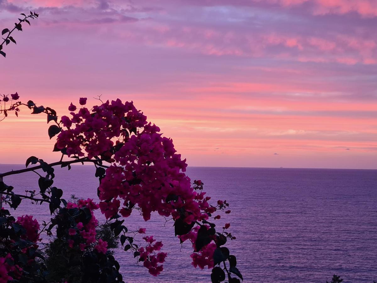 “Cielo E Mare”, Casetta Nel Cuore Del Borgo Antico / “Sky & Sea”, Charming In The Heart Of Old Village Castelsardo Exterior foto